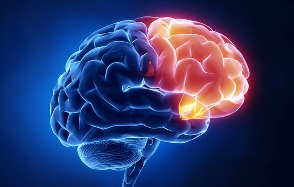 O Cérebro do TDAH : A Ética do Futuro e a Tirania do Presente