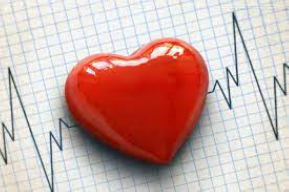 Coração e TDAH: Uma discussão sobre TDAH, Saúde Cardiovascular e as novas diretrizes sobre Hipertensão Arterial